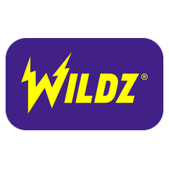 Wildz logo